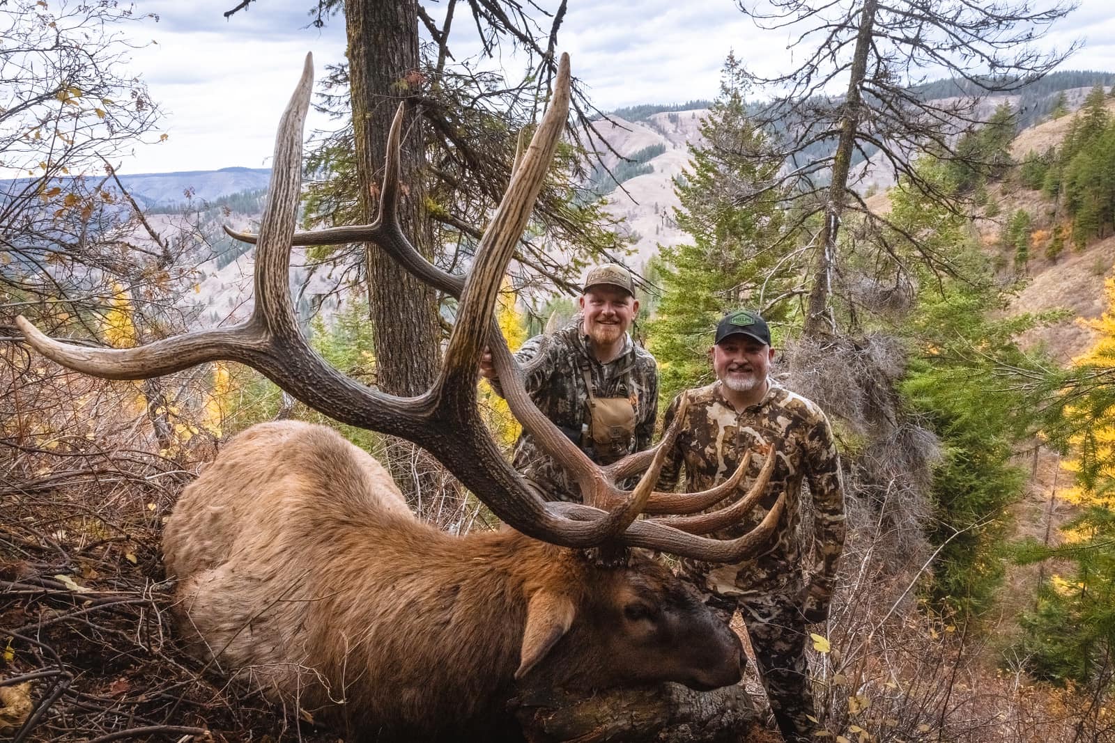 Jason Phelps' 2021 Elk Season Recap