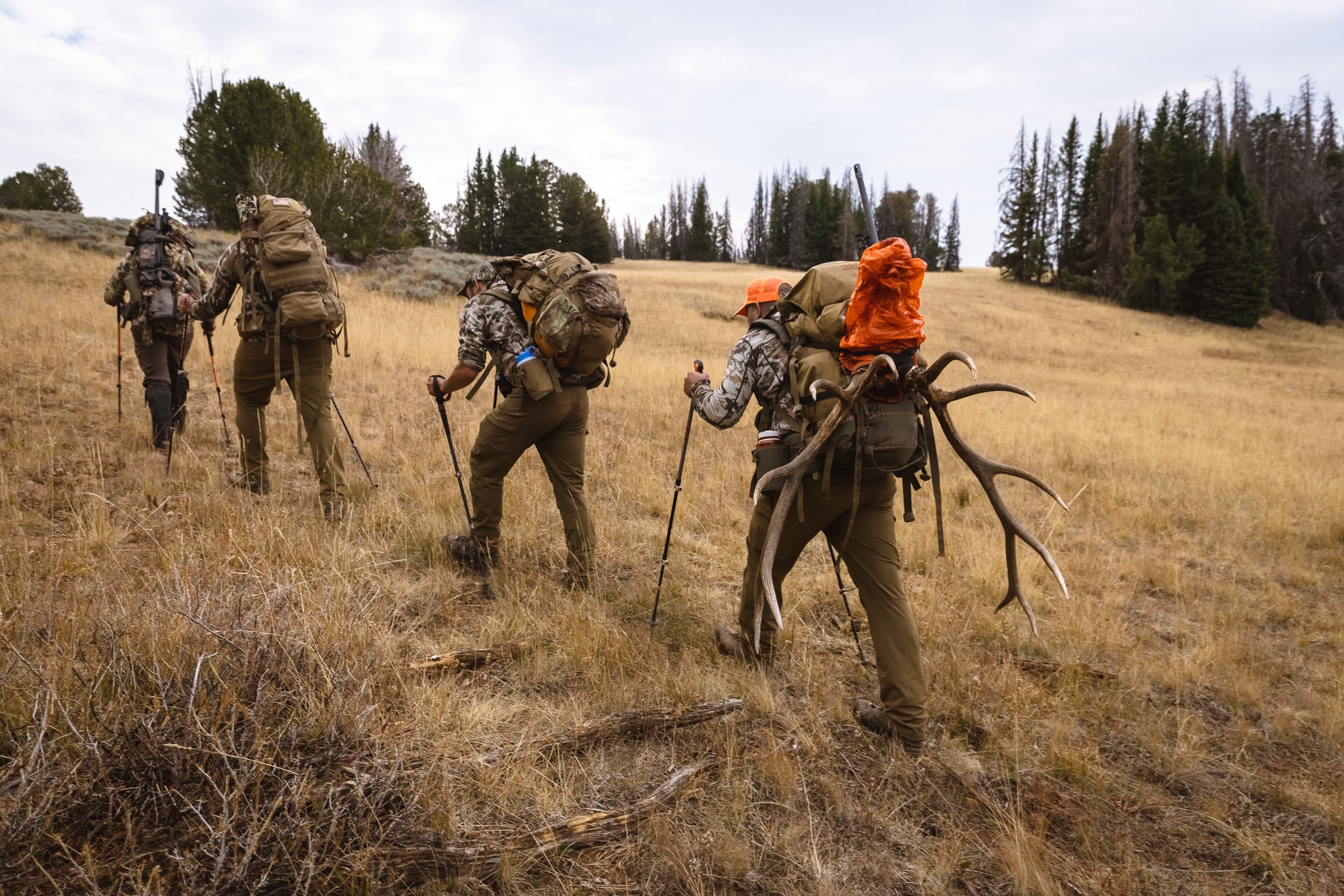 Late Season Elk Calling