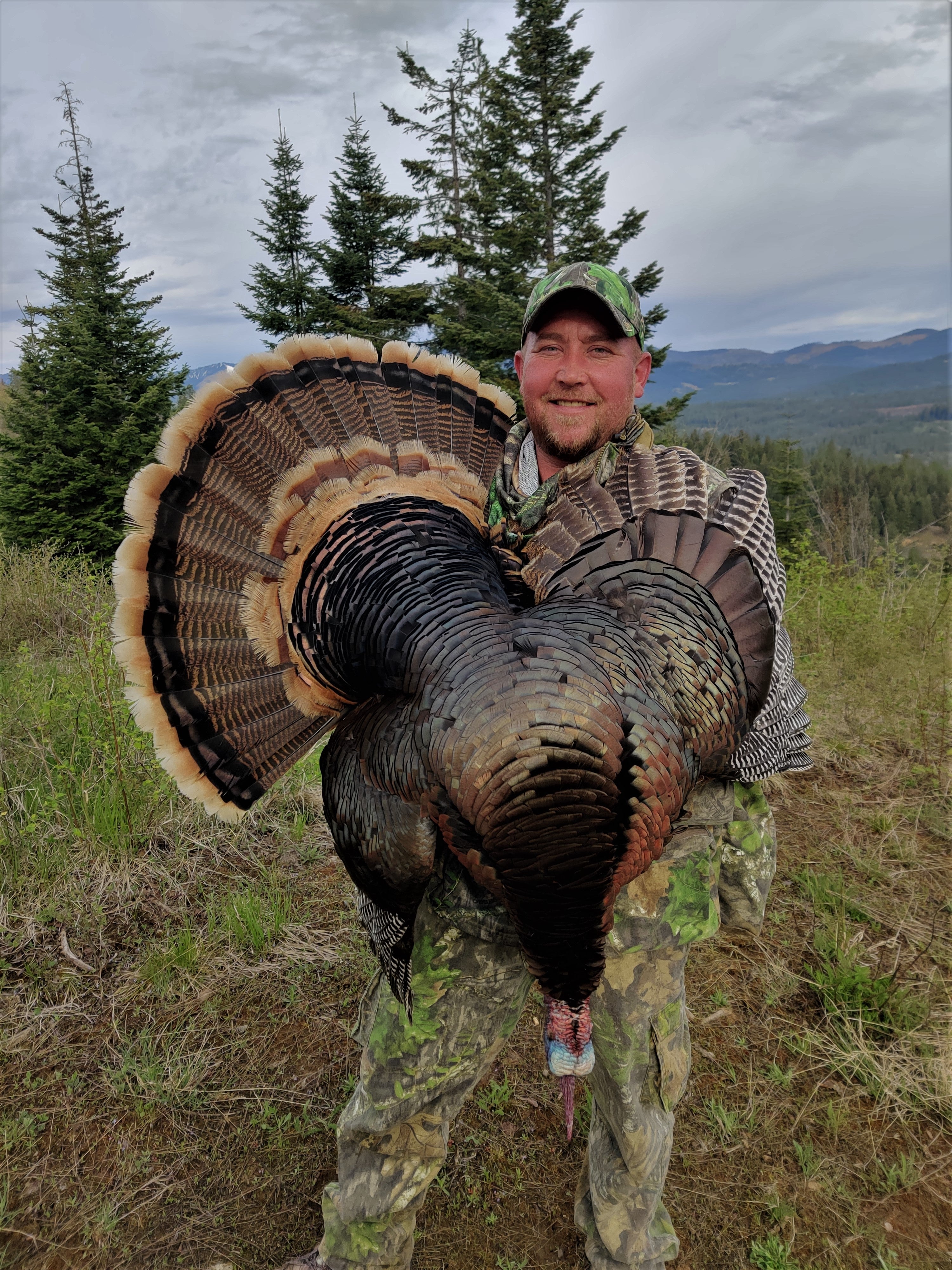 Successful turkey hunting strategies