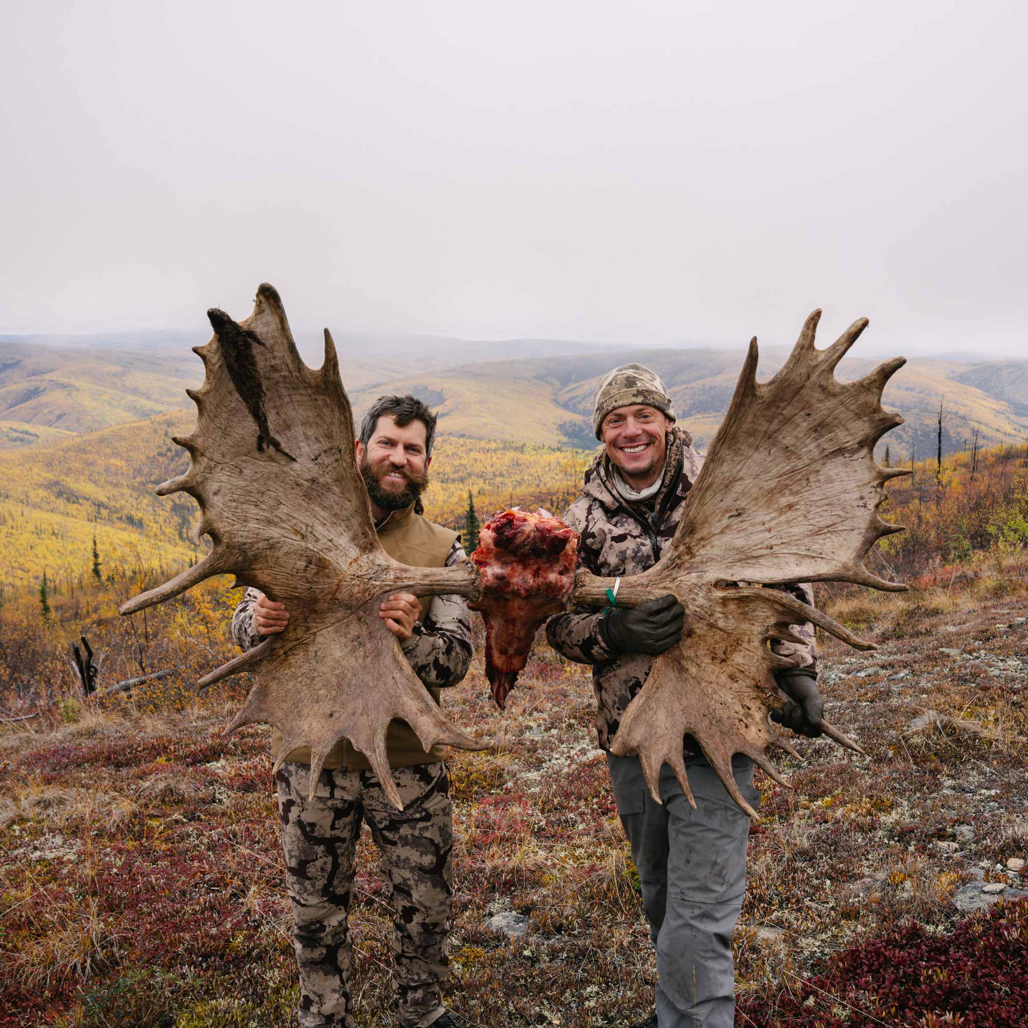 Moose Tube