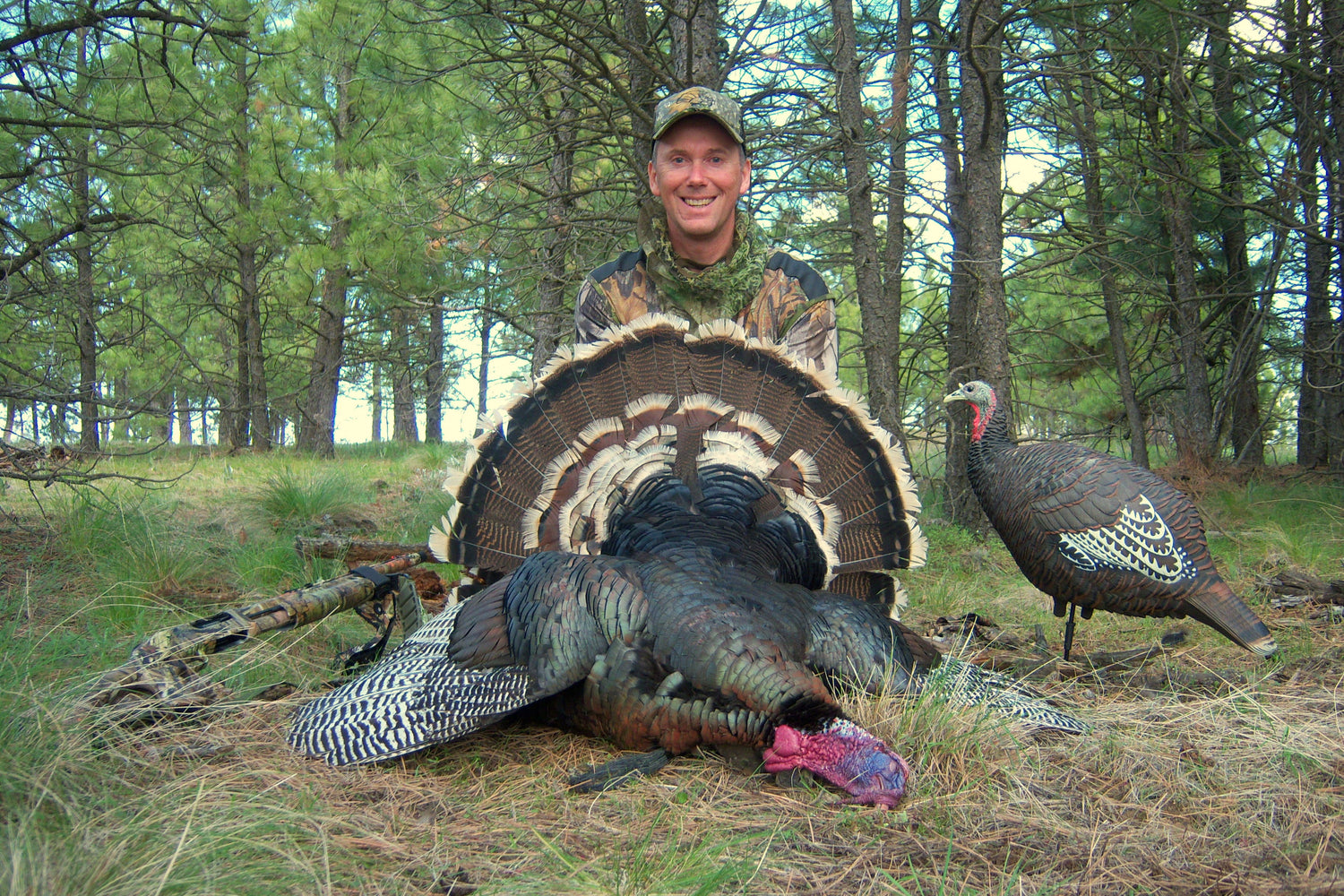 How to hunt Turkeys: Clucks & Purr's? Yes, but NEVER together when hunting turkeys....