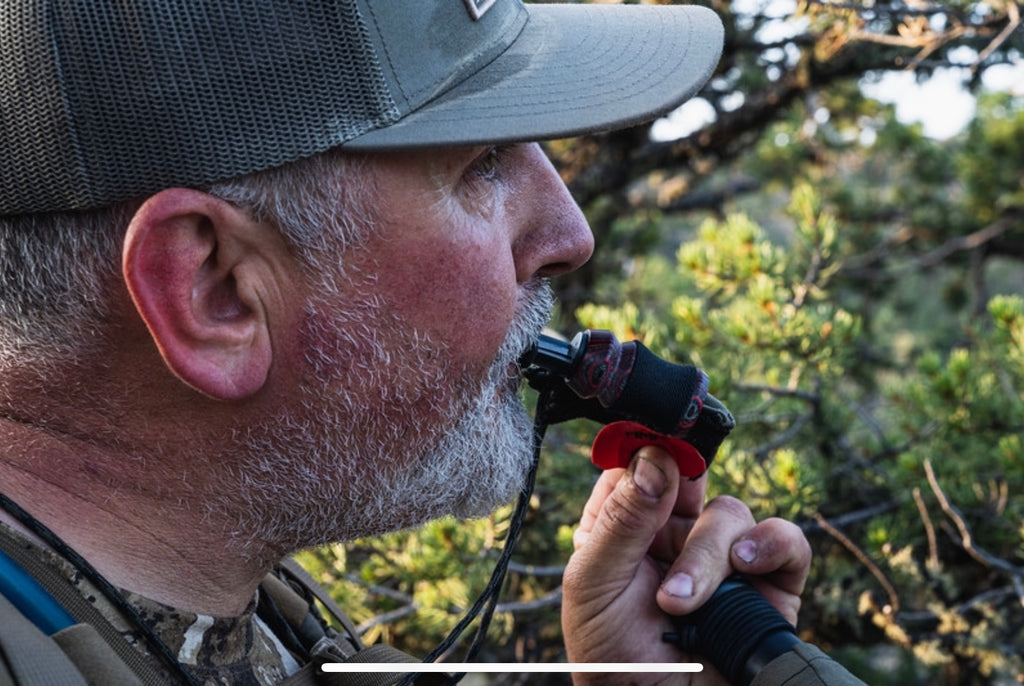Elk Calls- How External cow calls can change the game.