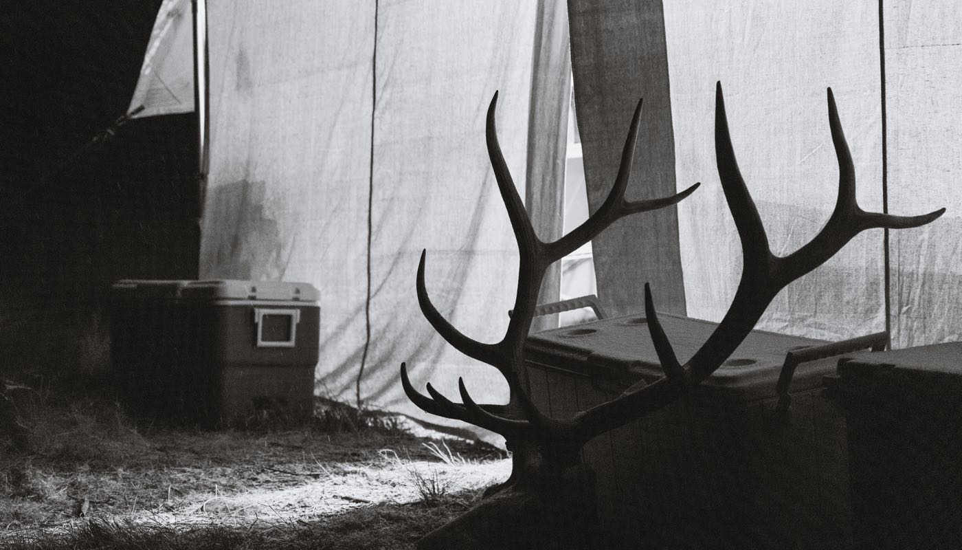 Elk antlers in front of a tent